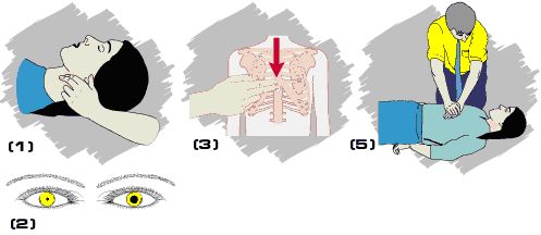 primeiros-socorros-fig3.jpg