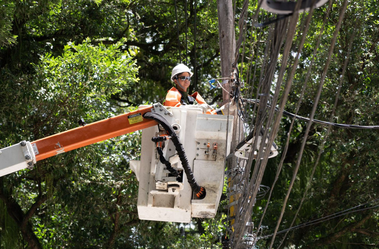 podas-de-vegetacao-na-bahia-neoenergia-coelba-energia-eletrica.png